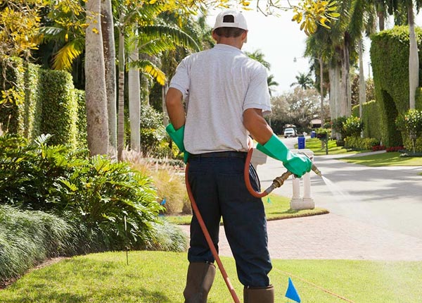 About Graytown OH Pest Control
